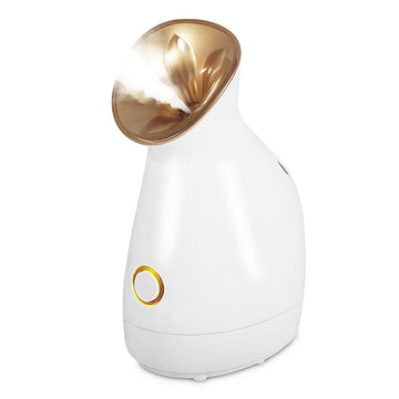 Skin Care Mist Steamer